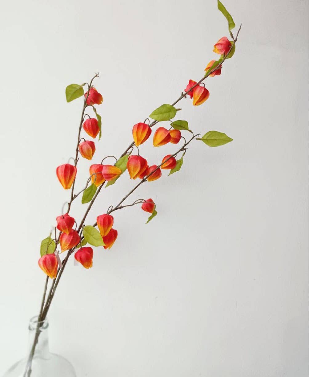 ACNITE(We cover U.S. import duties) - Wholesale Artificial Flowers - Artificial silk lantern fruits orange flowers for home decor5