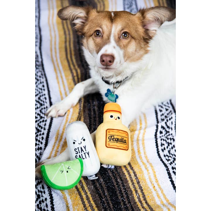 Pearhead - Wholesale Pet Plush Toy - Dog - Turnt Pup Dog Toys, Set of 3