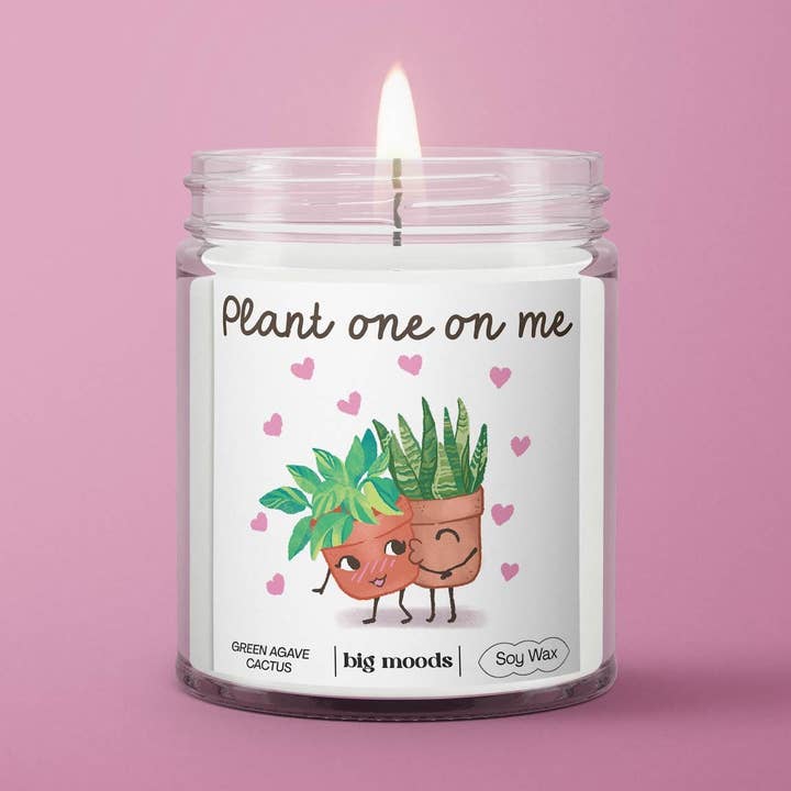 "Plant One On Me" Green Agave Cactus  - 5oz Soy Candle and other Purchase Wholesale agave. Free Returns & Net 60 Terms on Faire trending on Faire.