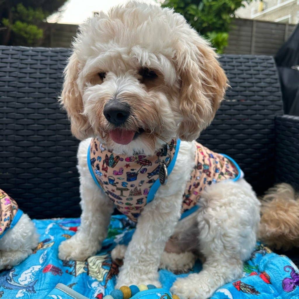 Mylo and Mas Boutique - Wholesale Pet Vest - Dog - Dog Cooling Vest - Sun of a Beach4