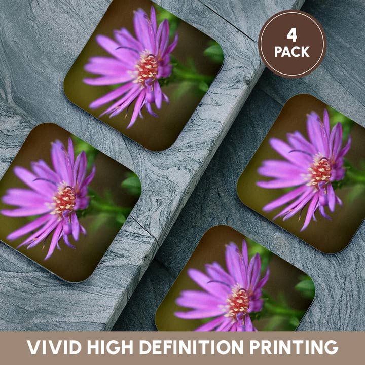 3dRose - Wholesale Coasters - 3dRose, A macro photograph of a single purple aster flower., Coaster12