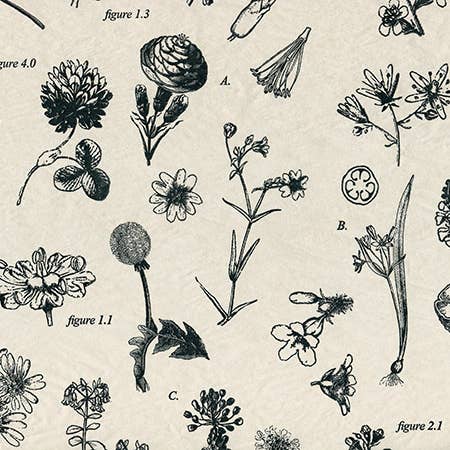 Nashville Wraps - Wholesale Tissue Paper - Floral & Nature Print Tissue Paper Sheets15