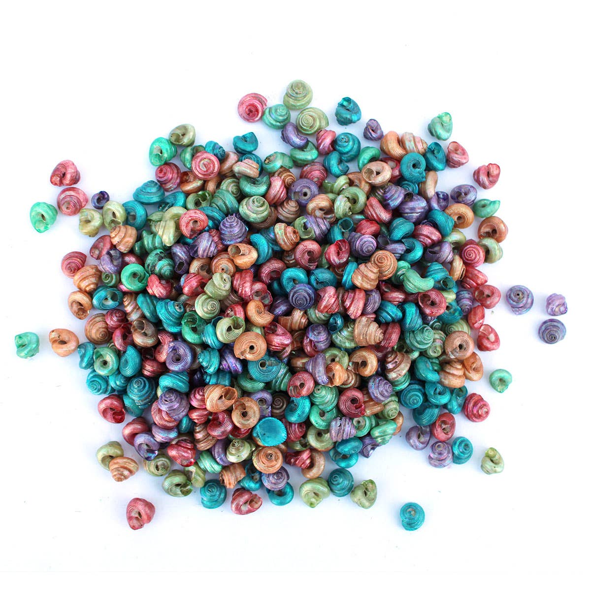 California Seashell Company - Wholesale Craft Supplies - Dyed Land Snail Bulk Craft Shells - 1 LB1