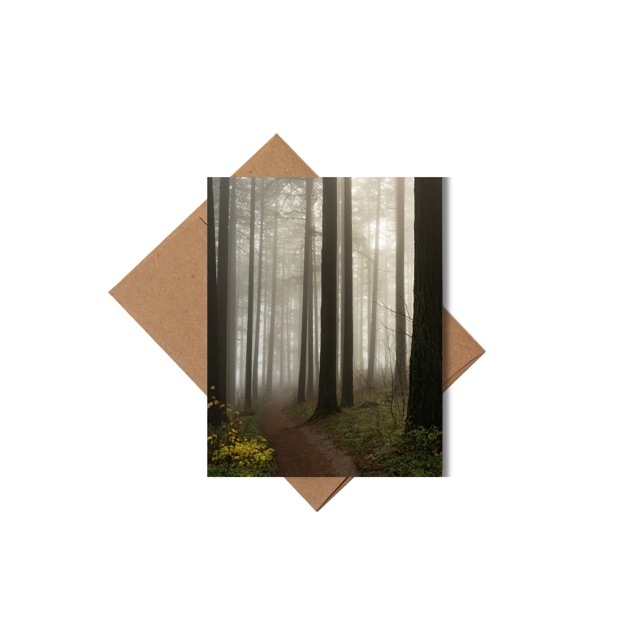 Andrea Morris Art - Wholesale Stationery/Notecard Set - Oregon Card Variety Pack (5 Different Cards + Envelopes)4