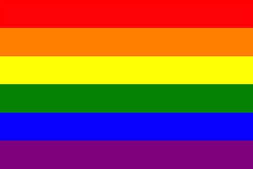 Worldwide Flags Ltd – wholesale Flag – Gay Pride (Rainbow) 5'x3'0