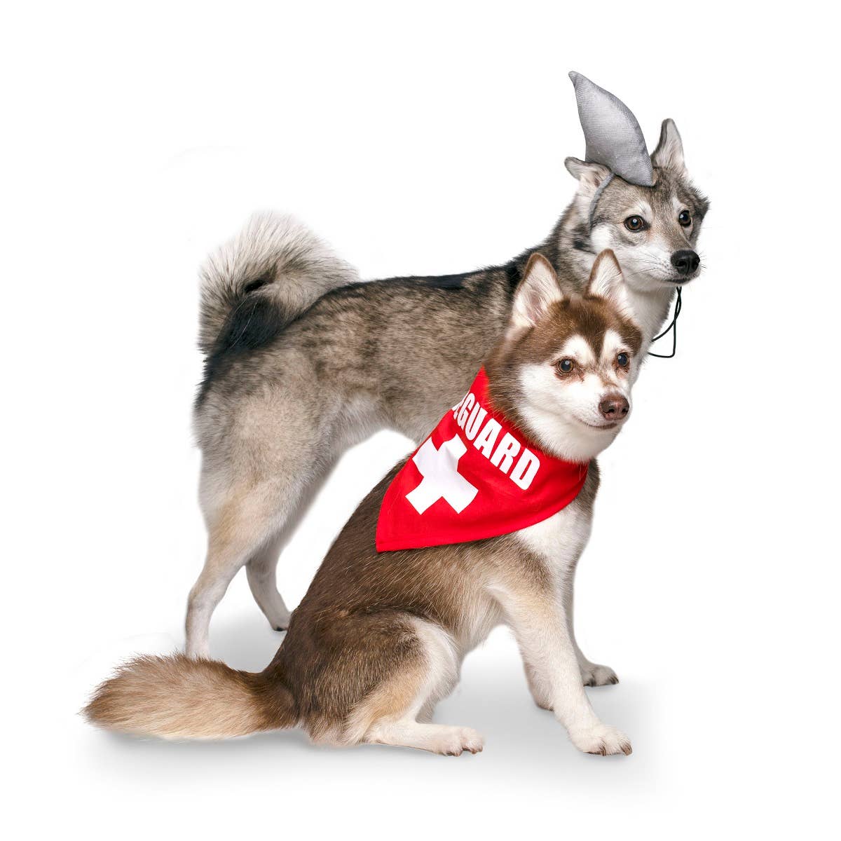 Midlee Designs – Disfarce – Gato e cão por atacado – Fantasia de cachorro de Halloween Midlee Shark vs. salva-vidas11