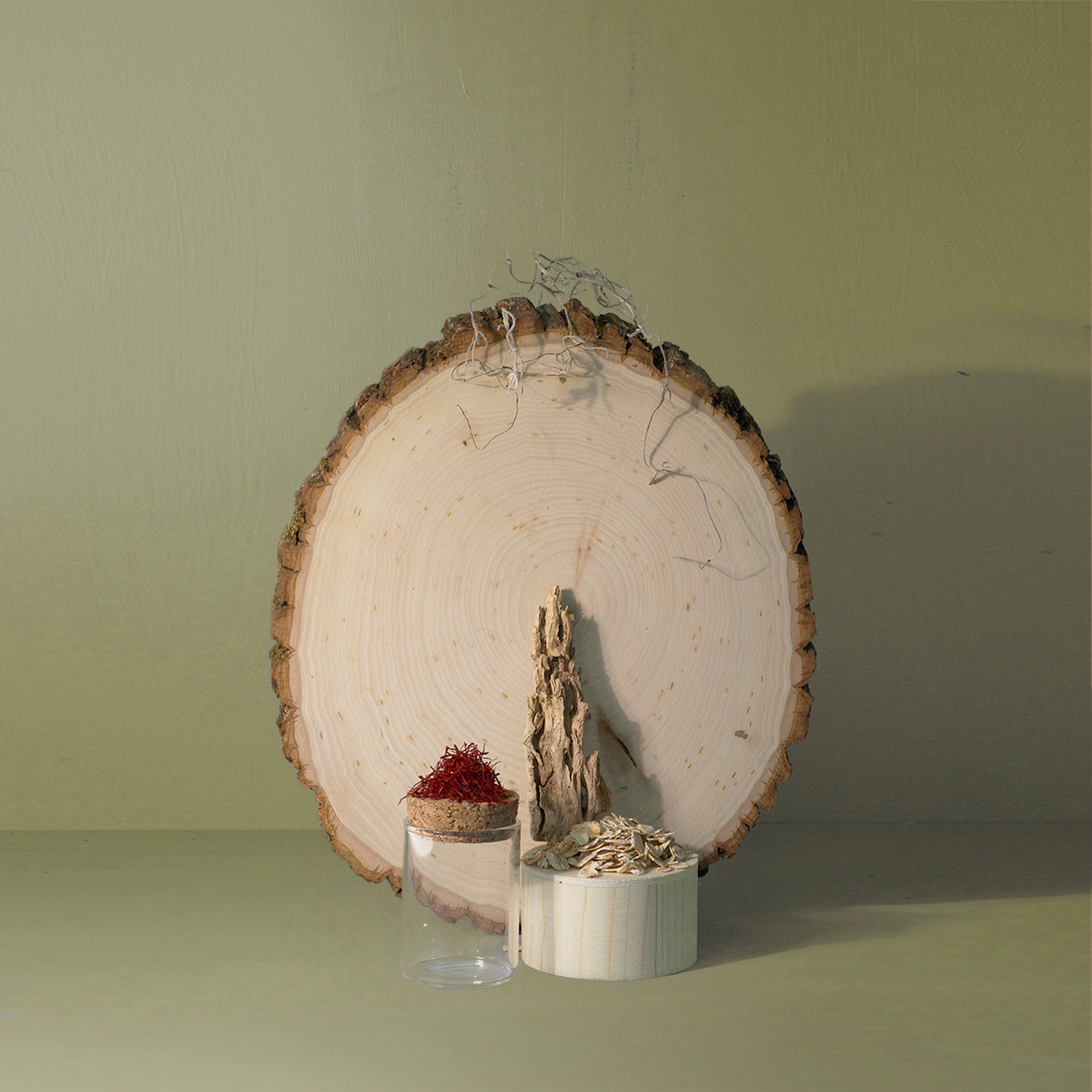 True Hue - Venta al por mayor Velas en tarros - Mini vela Woods1