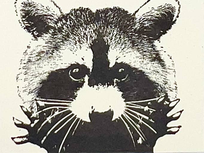 Guttersnipe Press Greetings - Wholesale Gewone wenskaart - Stay Trashy Card3