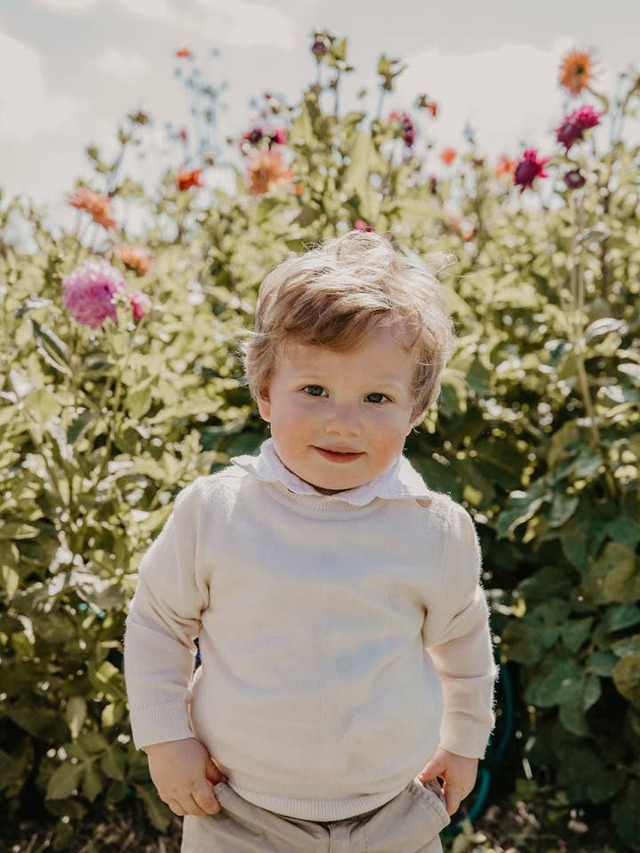 Merino Essential Extra Fine Merino Wool Jumper for wholesale on Faire1