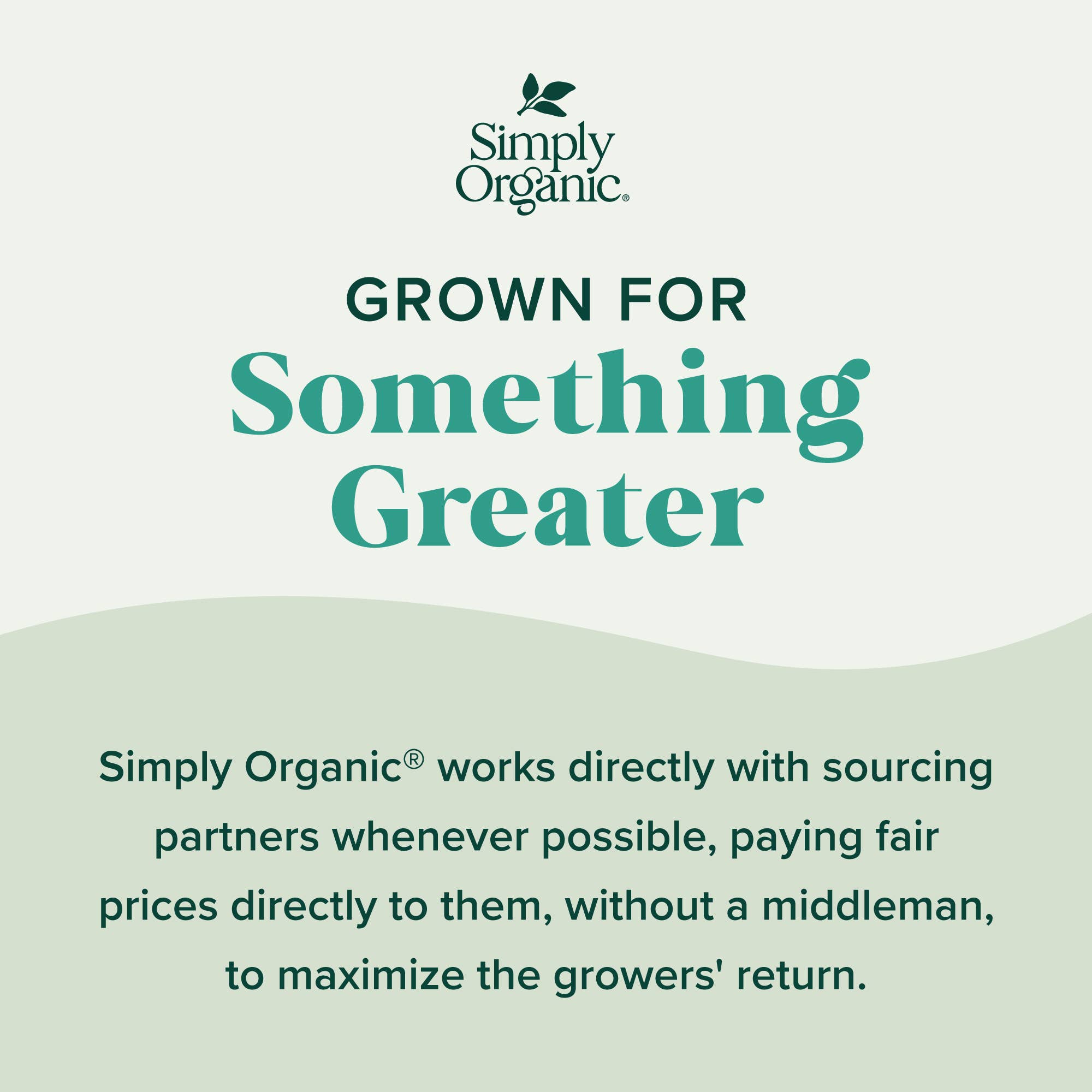 Simply Organic - Wholesale Dried Spice - Simply Organic Cumin Seed, Certified Organic4