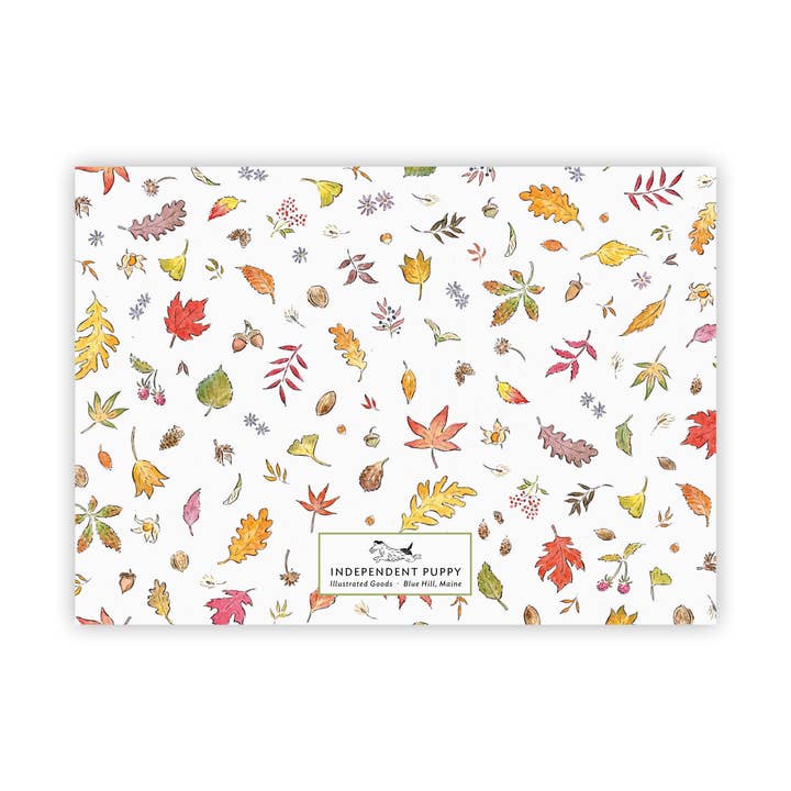 Independent Puppy – wholesale Stationery/notecard set – Squirrel and Autumn Leaves Flat Note Cards, Set of 8 | A71