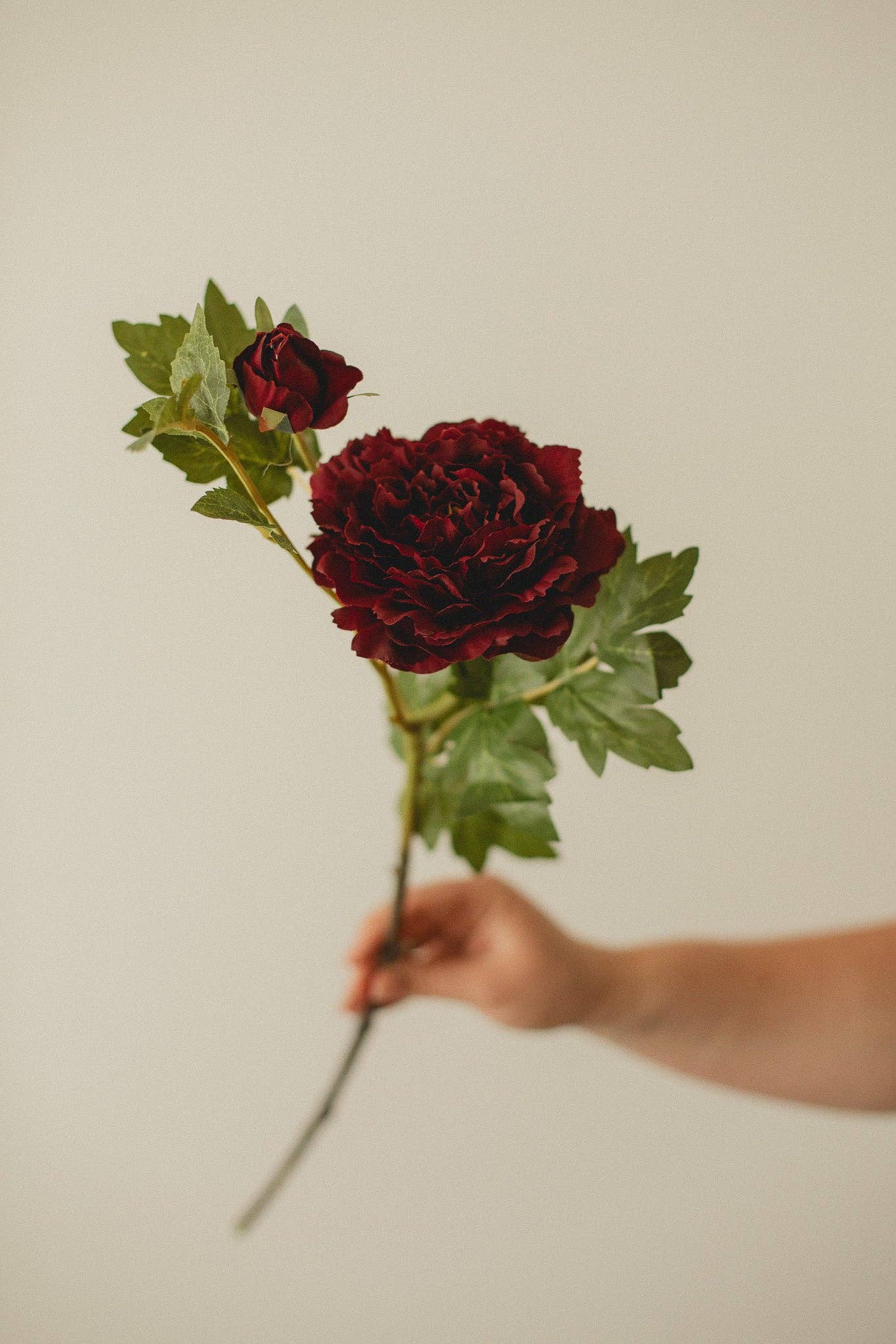 Eucalypt Co. - Wholesale Artificial Flowers - Mountain Peony2