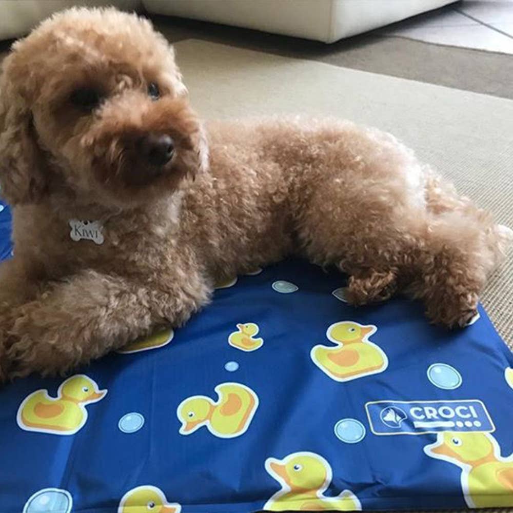 Croci - Vendita all'ingrosso Tappetino - Cani - Tappetino refrigerante cani - Moby Duck - Croci4
