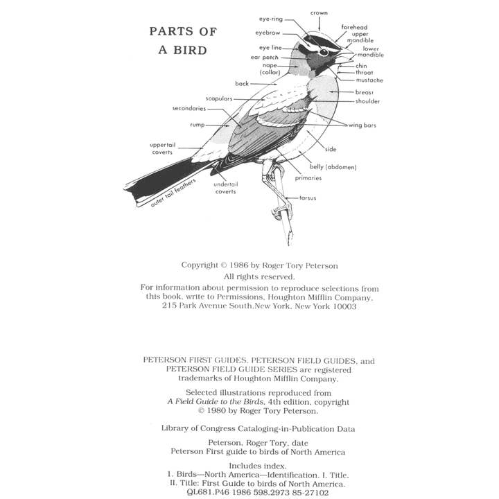 Microcosm Publishing & Distribution - Wholesale Nature Guide - Peterson First Guide to Birds of North America