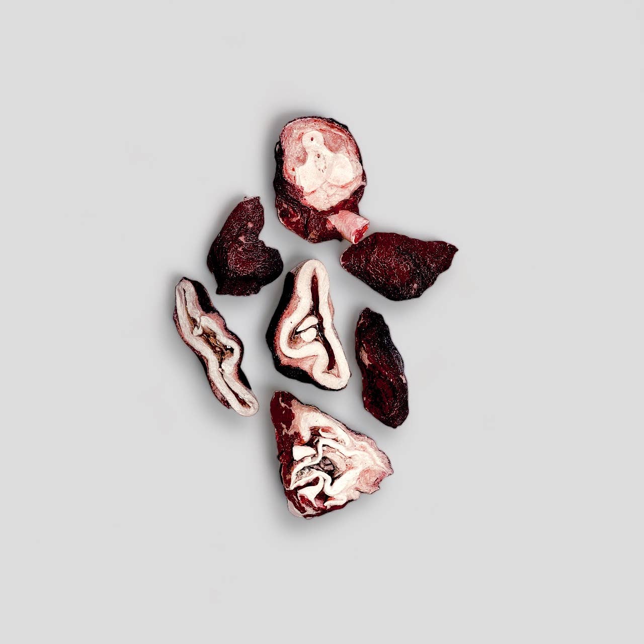 Mosaic Pet Food – Großhandel Leckerlis – Hund – Mosaic® Wild-Caught Oktopus-Kopfscheiben, 2 lb *Bulk