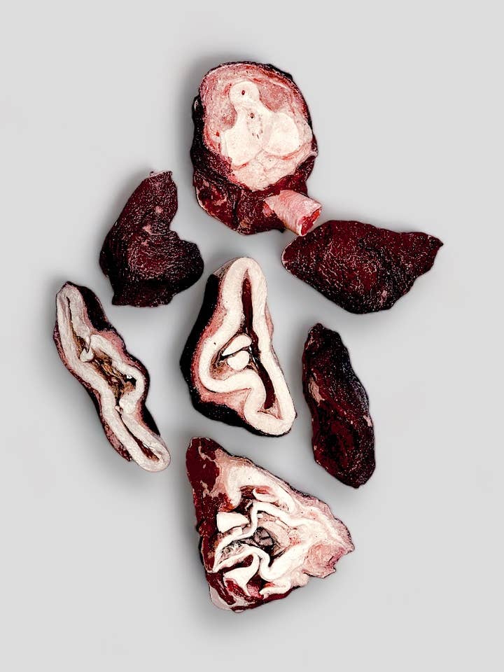 Mosaic® Wild-Caught Oktopus-Kopfscheiben, 2 lb *Bulk für den Großhandel von Mosaic Pet Food