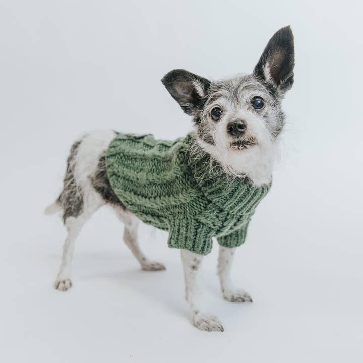 SASSY WOOF - Wholesale Pet Sweater - Dog - Pet Cable Knit Sweater - Dark Green12