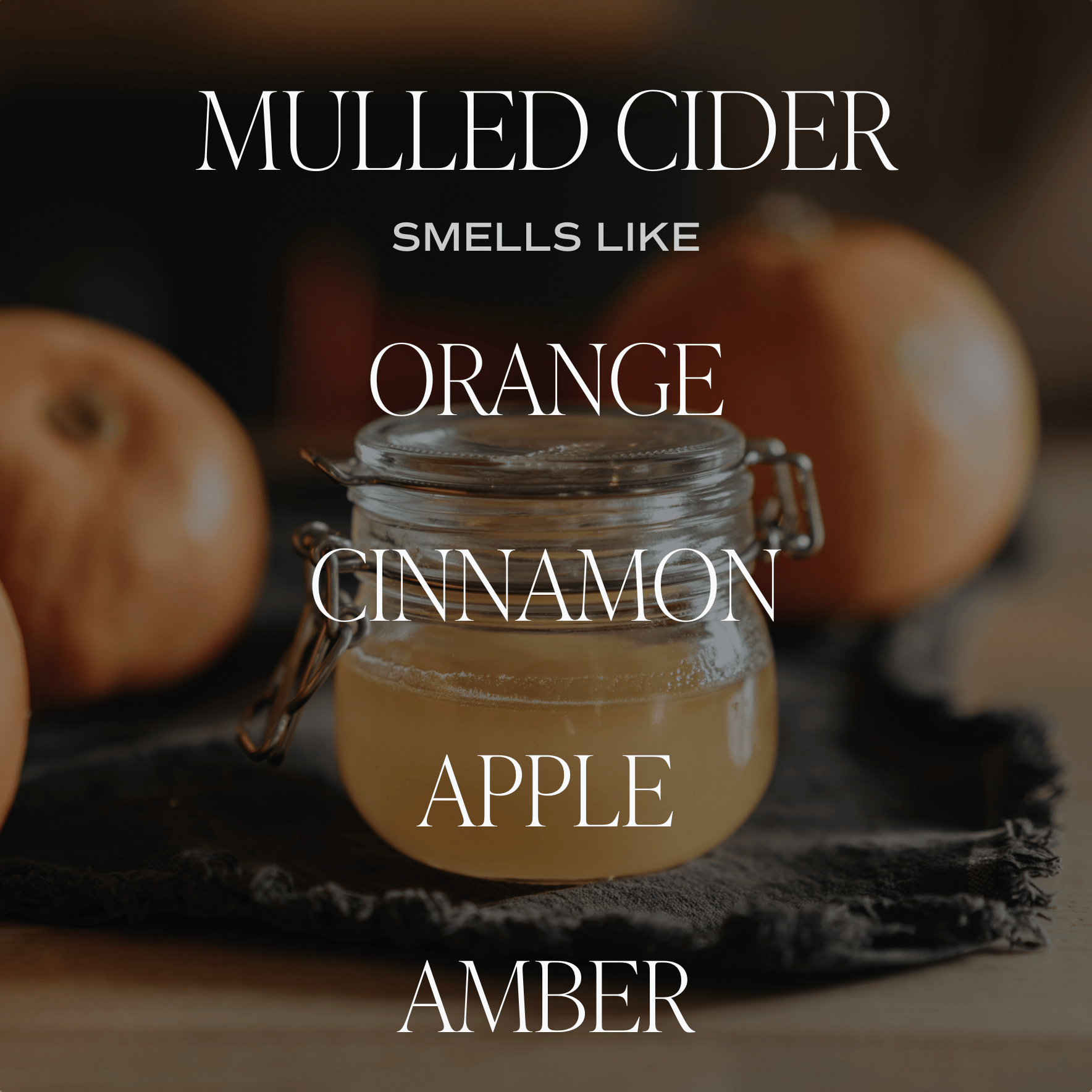Sweet Water Decor - Wholesale Air Freshener - Mulled Cider Hanging Air Freshener - Home Decor2