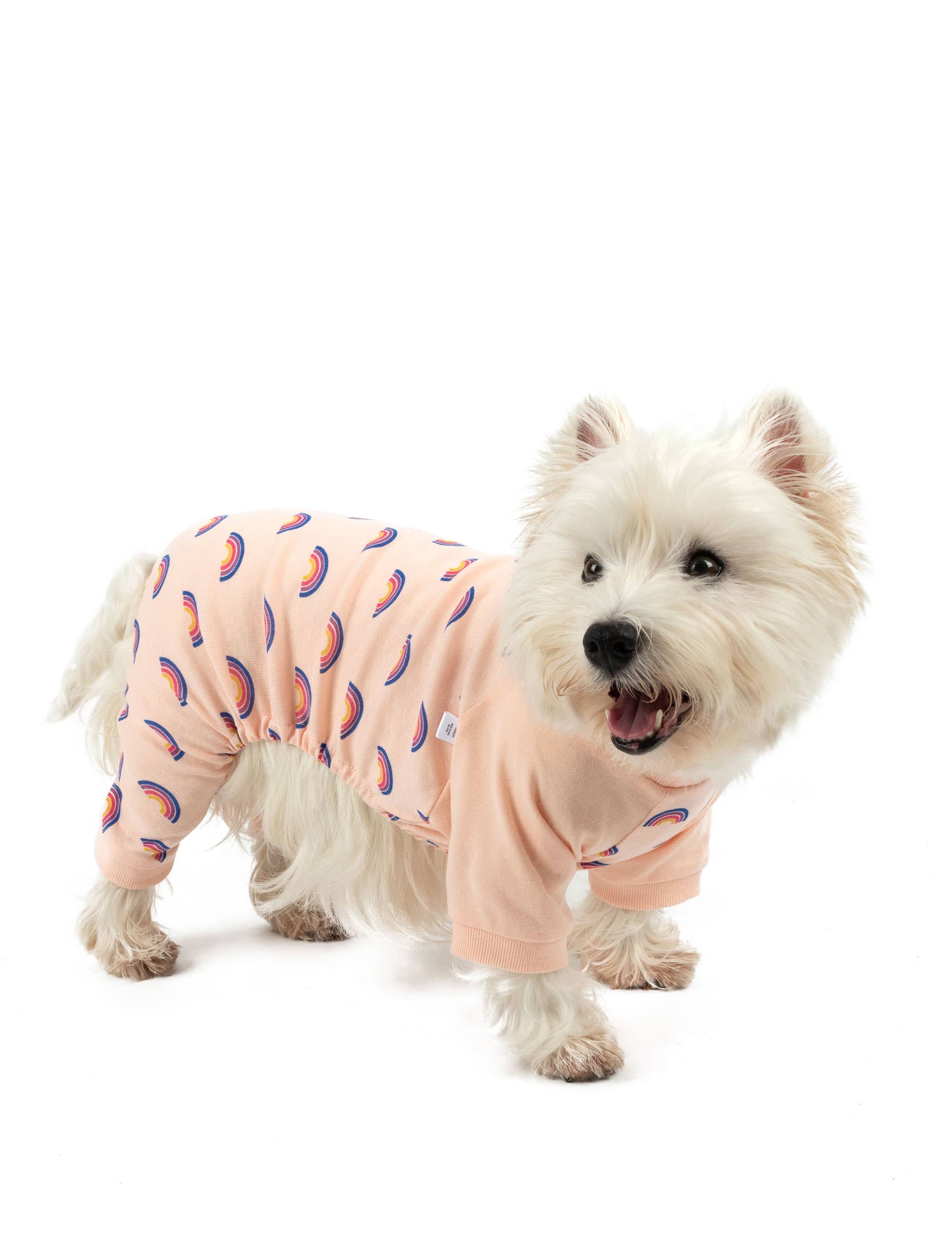 Leveret Pajamas – Großhandel Haustierpyjama – Hund – Hundebaumwoll-Pyjama mit Muster41