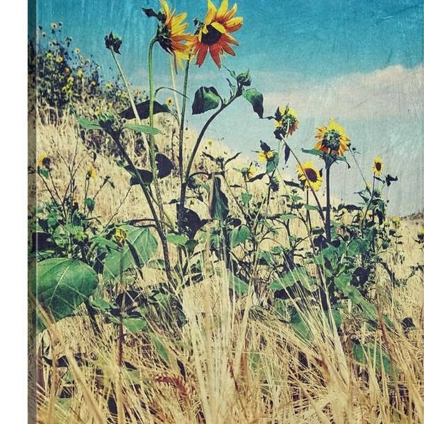 Roadside Conversation Canvas Print for wholesale by Amanda Smith Western Art, LLC