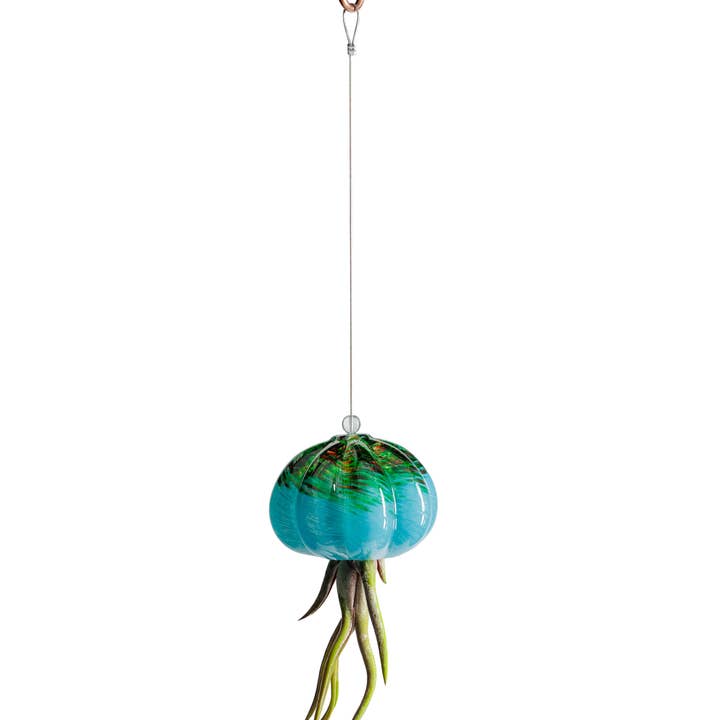ApricotMint - Wholesale Hanging Planter - Cauliflower Jellyfish Air Plant Holder (plant not included)
