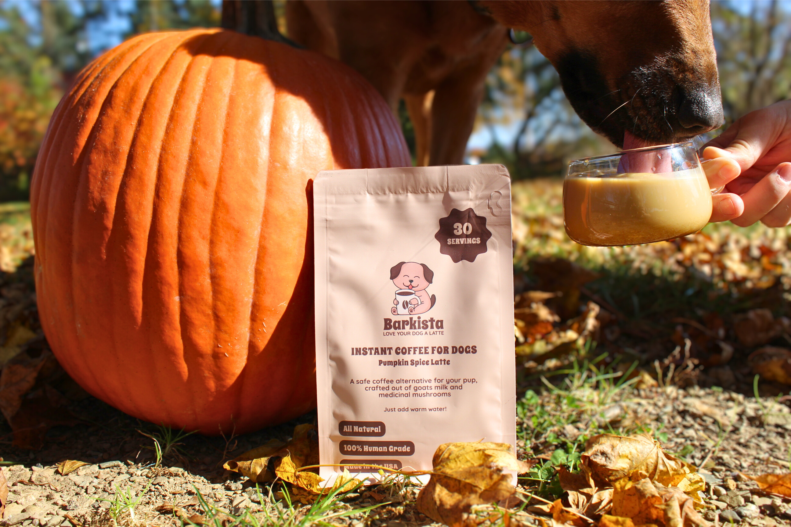 Barkista - Wholesale Pet Treats - Dog - Pumpkin Spice Latte Instant Dog Coffee6