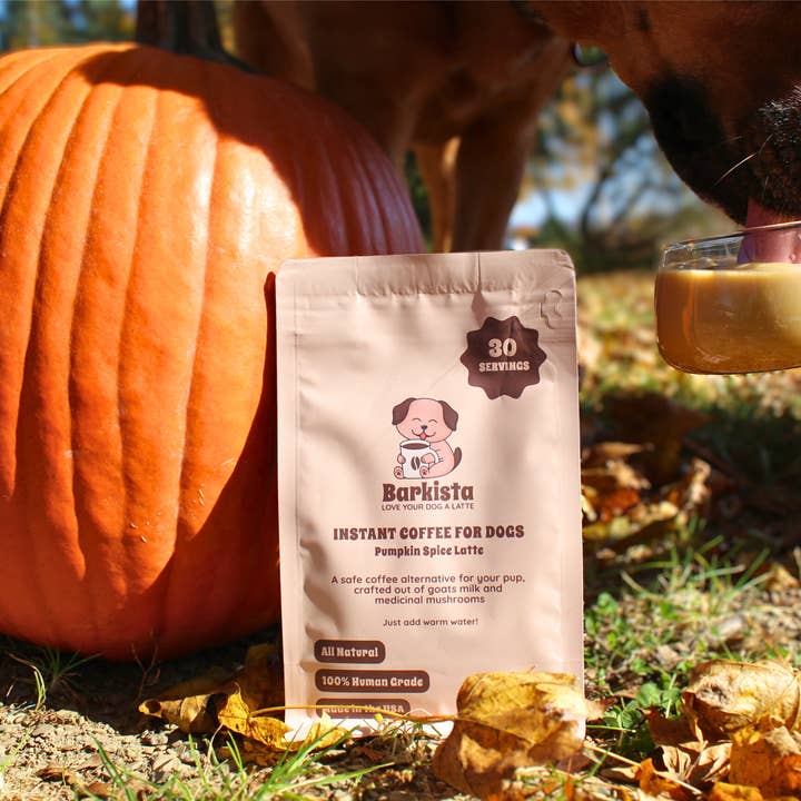 Barkista - Vente Friandises – chien - Café instantané pour chiens Pumpkin Spice Latte6