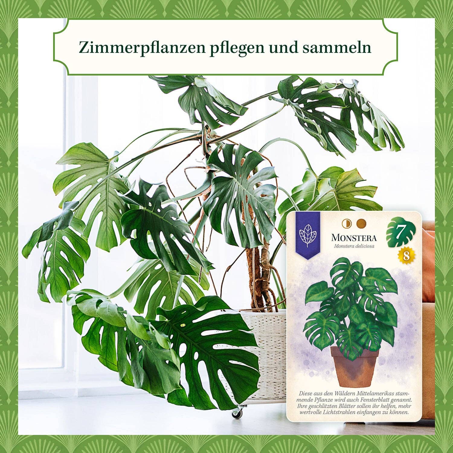 plantyintroverts - Wholesale Board Game - Sattgrün - The Board Game5