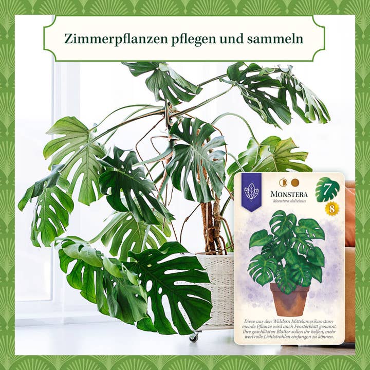 plantyintroverts - Wholesale Board Game - Sattgrün - The Board Game5