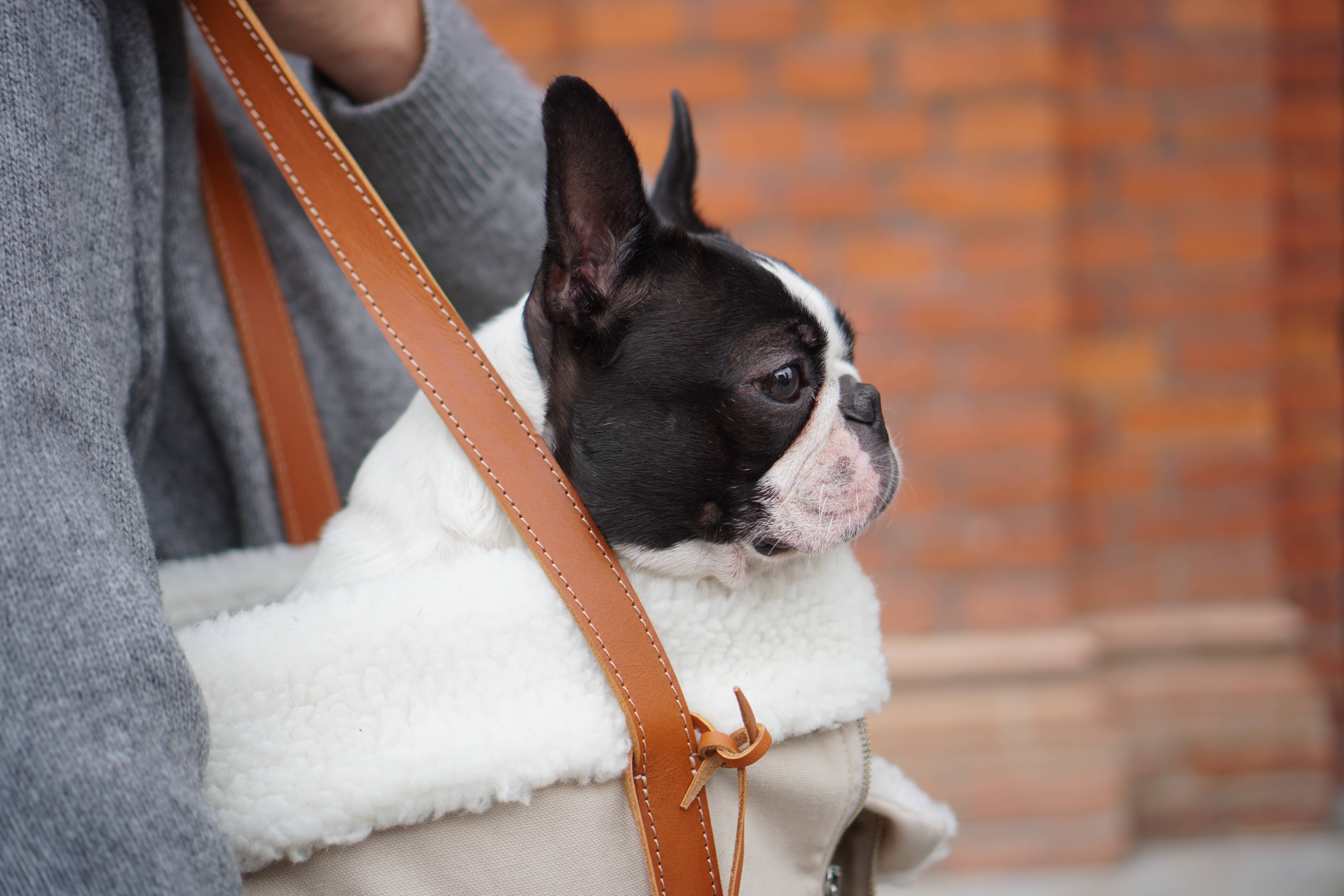 Labbvenn - Wholesale Pet Carrier - Cat/Dog - Liiva Dog Carrier2