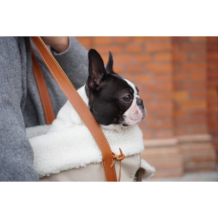 Labbvenn - Venta al por mayor Transportín - Gatos y perros - Bolsa Liiva para perro con dos funciones2