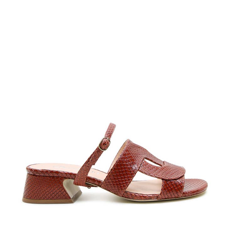 Alterre - Vendita all'ingrosso Sandali - Donna - Sandalo Loop Serpente Marrone + Cinturino Twiggy