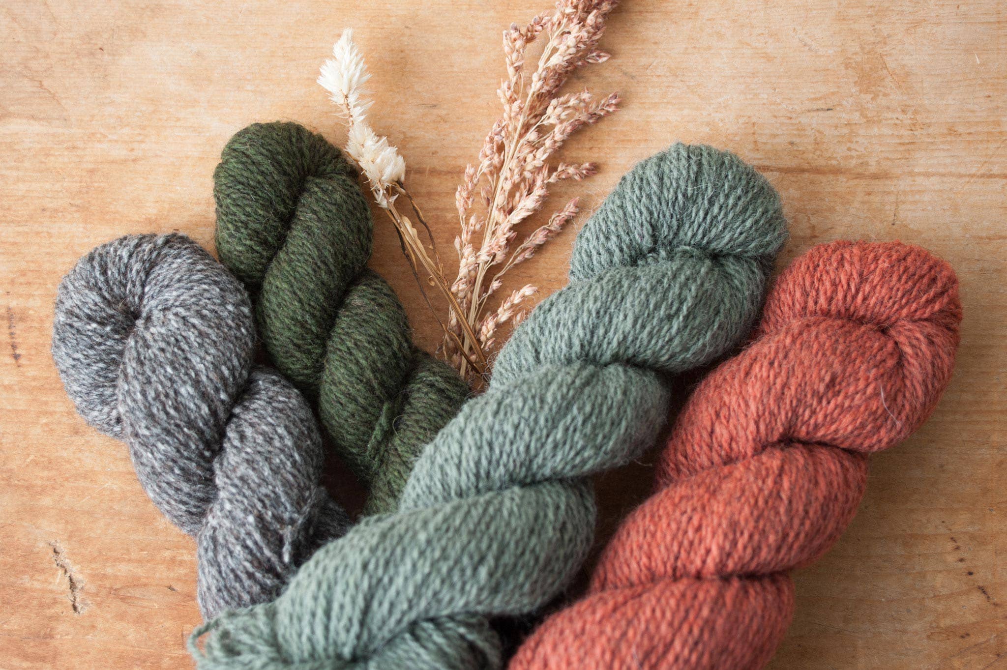 Quince & Co. – Großhandel Garn – Eule54