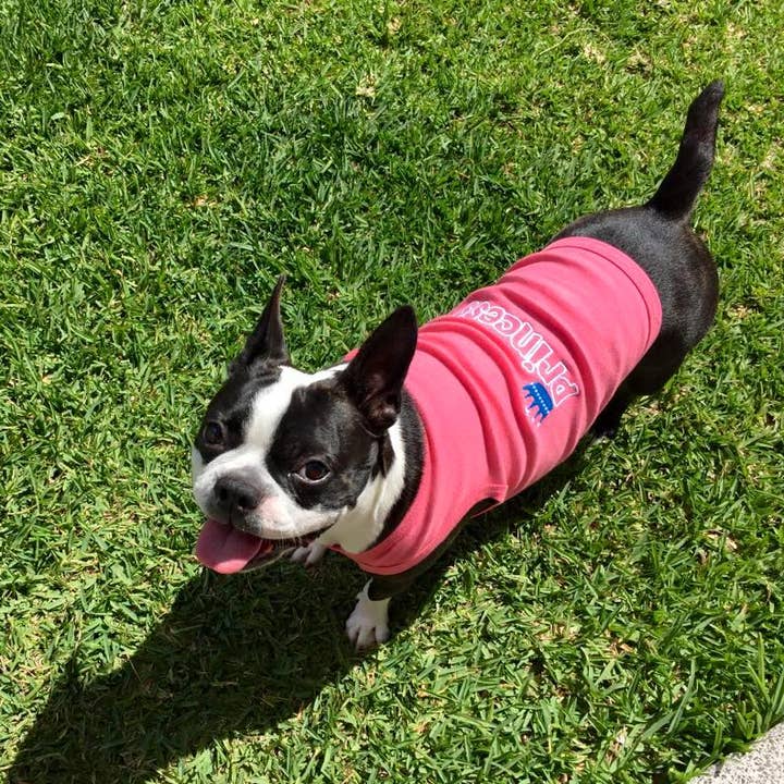 Parisian Pet® - Wholesale Pet Shirt - Dog - Princess Dog T-Shirt – Royal & Stylish Outfit for Small Dogs2