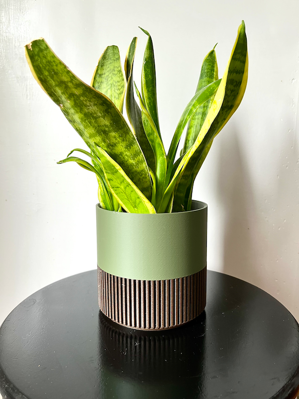Prairie City Printing Co. - Wholesale Plant Pot - Two-Toned Cedar & White Plant Pot | Mid Century Inspired 1