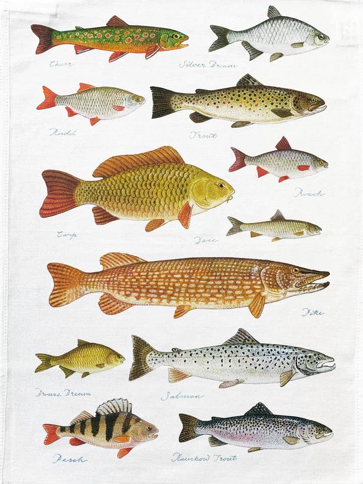 Torchon en coton avec grands poissons d'eau douce pour la vente par Half a Donkey