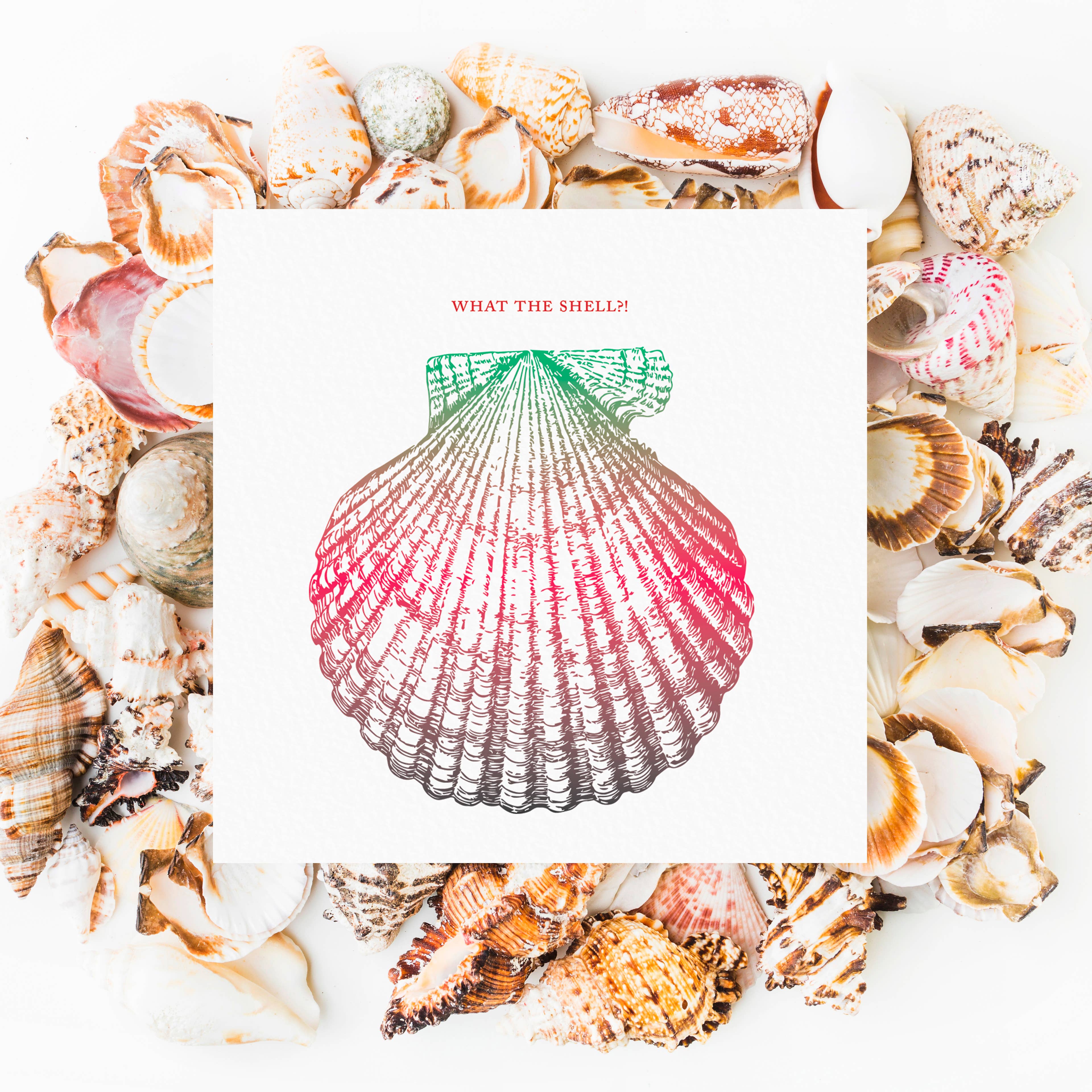 Ampersand M Studio - Wholesale Friendship Card - What the Shell Friendship Greeting Card3