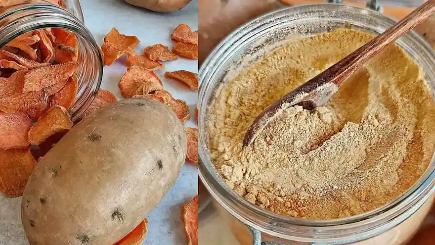 DO Food Ingredients - Wholesale Flour - Sweet Potato Flour (Powder) - Bulk Ingredient4