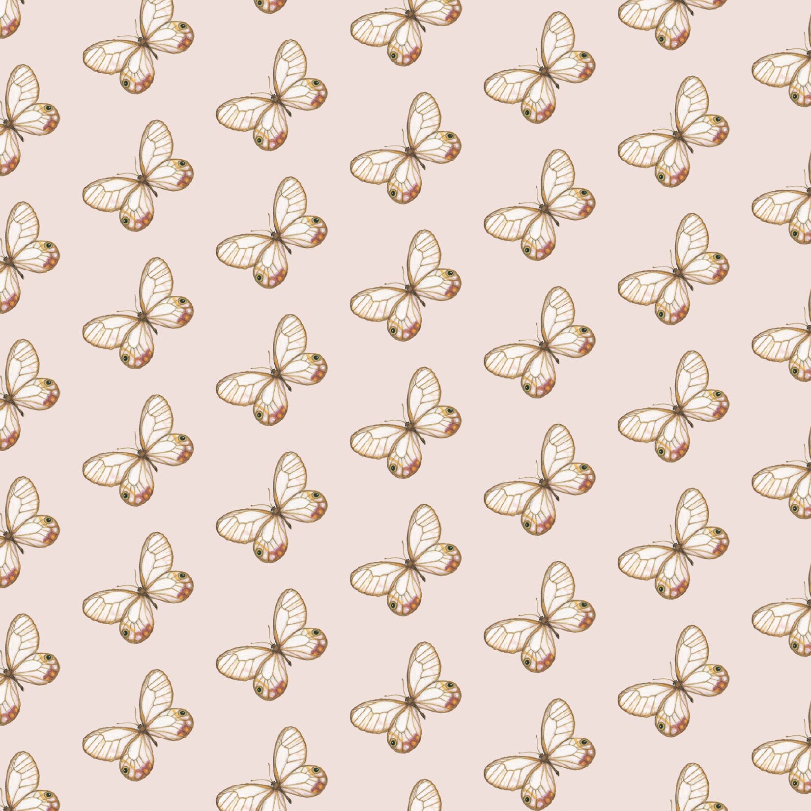 Yeesan Loh - Wholesale Flat Wrap - Gift Wrap / Butterflies & Moths4