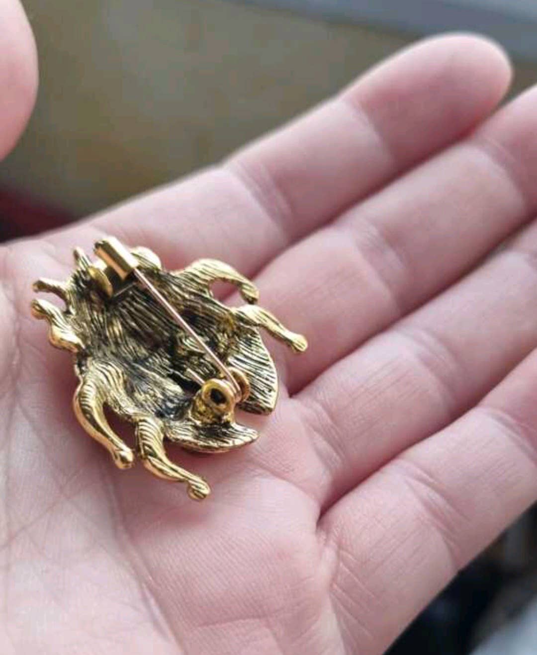 Wild & Free - Wholesale Brooch - Broche de mariquita4