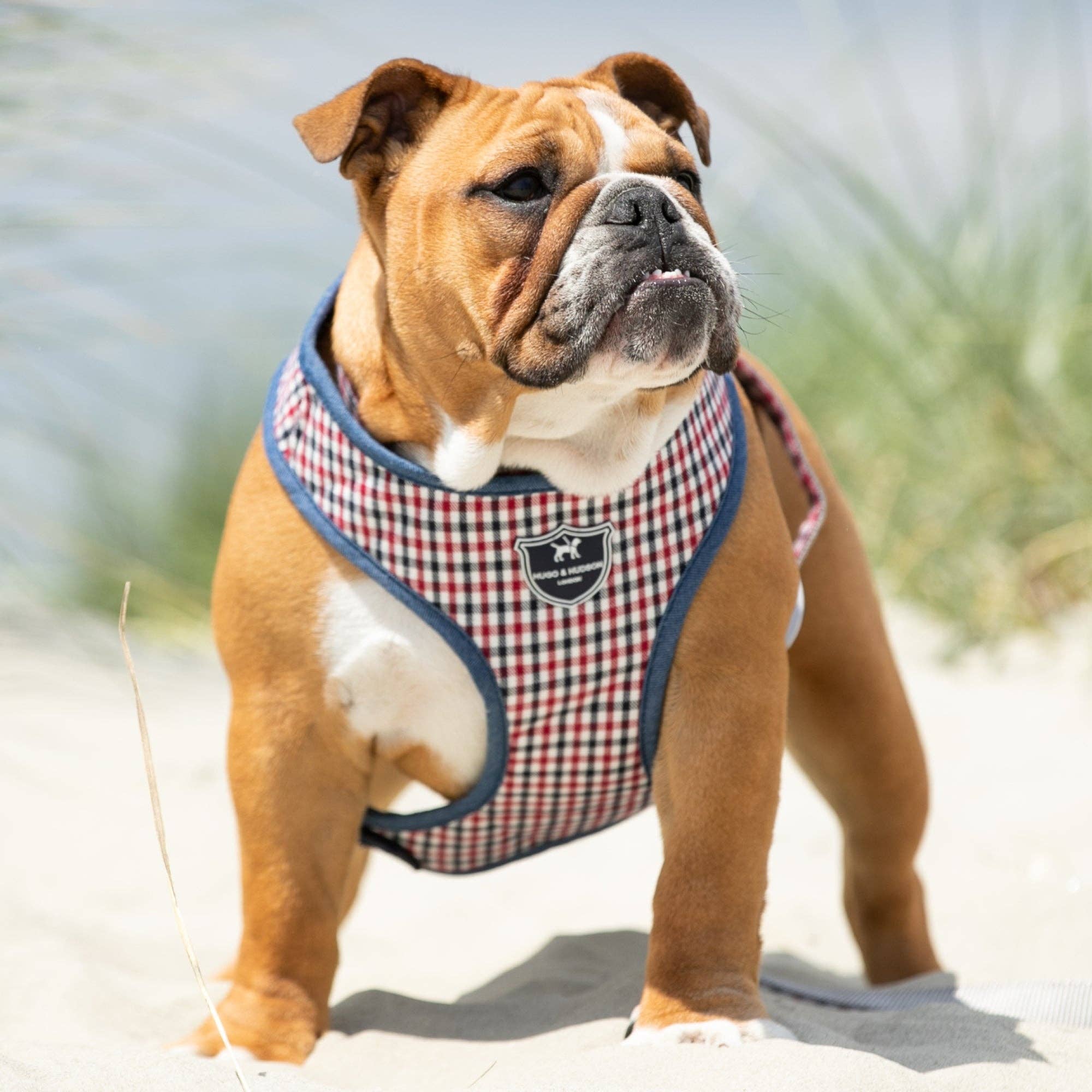 Hugo & Hudson - Wholesale Pet Harness - Dog - Fabric Dog Harness - Checked Navy and Red1