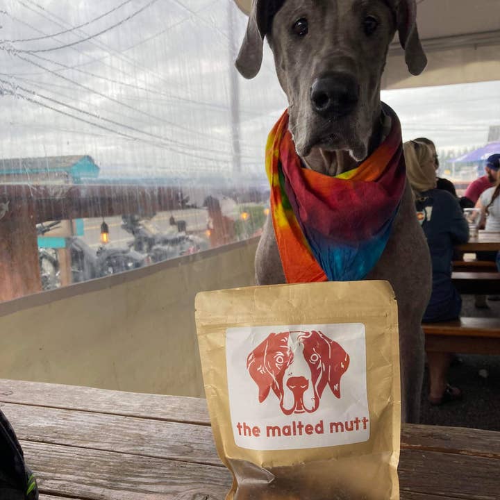 The Malted Mutt - Vente Friandises – chien - Pumpk'N Spice - Friandises naturelles pour chiens2