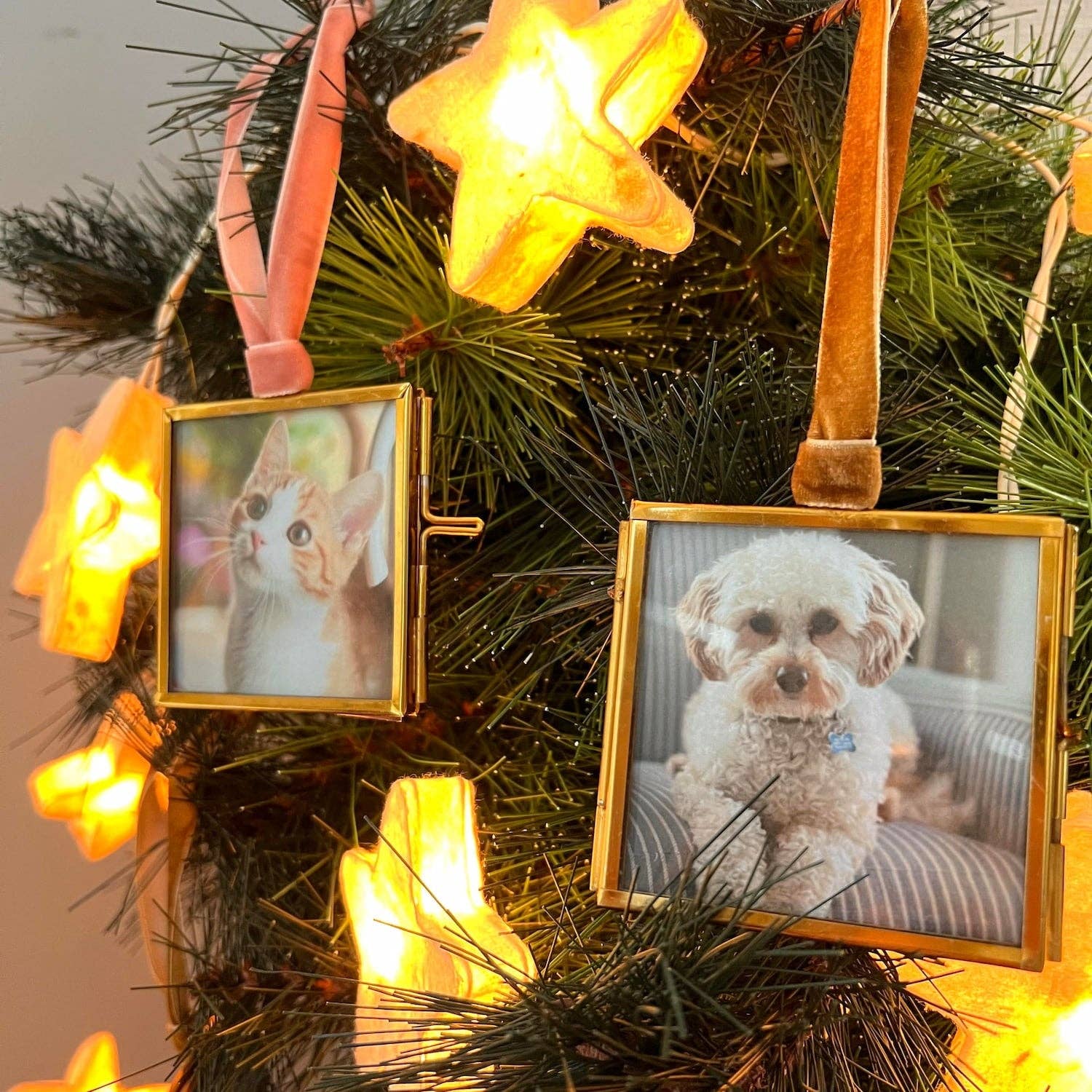 Home Dweller - Wholesale Picture Frame - Mini Frames - back in stock 20268