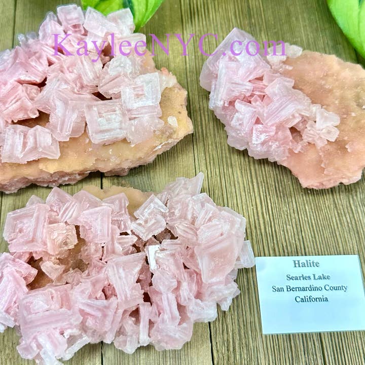 Natural Pink Halite Specimen Raw Crystal and other Purchase Wholesale cuisse poulet halal. Free Returns & Net 60 Terms on Faire trending on Faire.