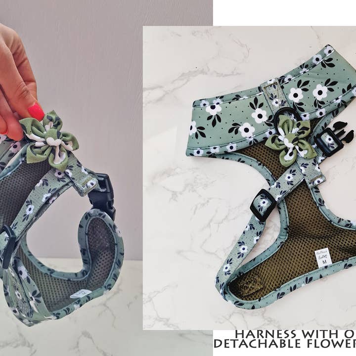 Pet Pooch Boutique – Arnês – Cão por atacado – Arnês Cão Green Meadow Daisy com Acessórios (floral)8
