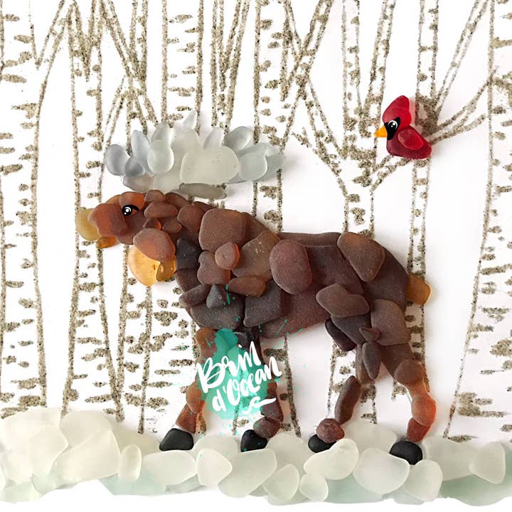 Moose Sea Glass cartão de saudação, Moose, todas as ocasiões por atacado de Brin d’Ocean