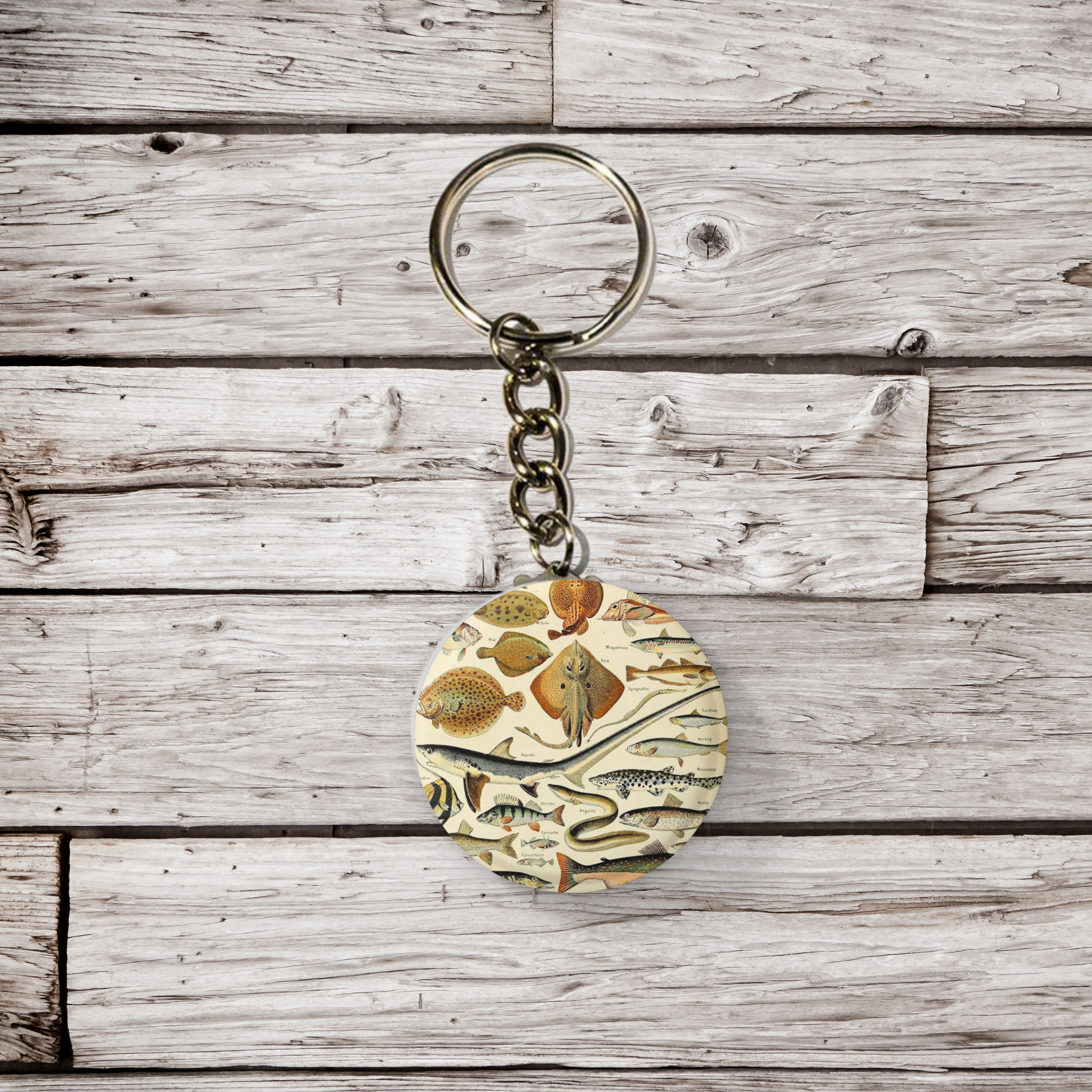 NatureCuts - Wholesale Reversspeld/knoop - Ocean Fish speldknop, sleutelhanger voor oceaanvissen, vismagneet2