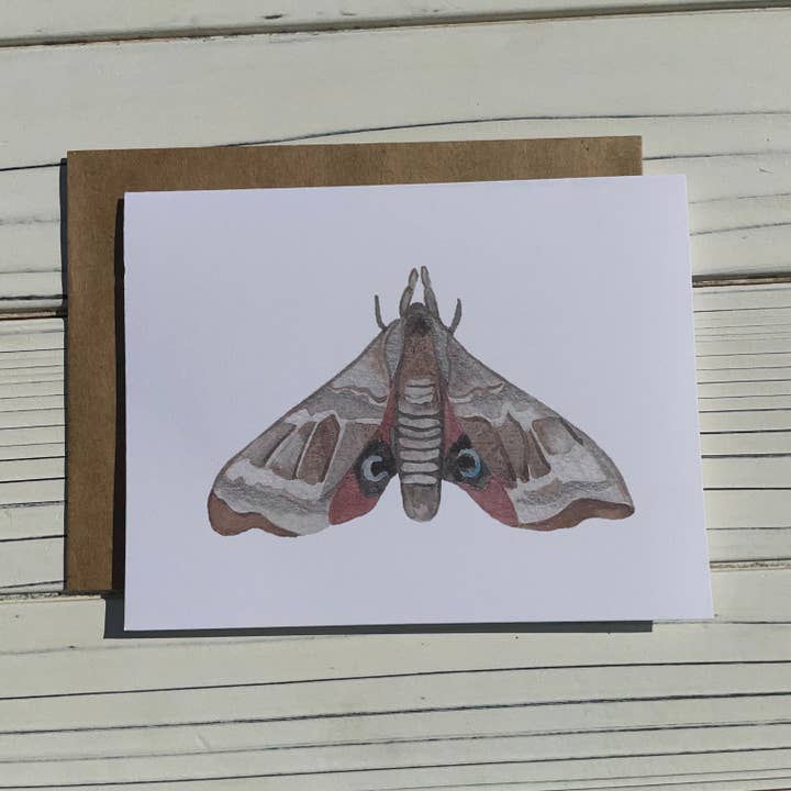 Biglietto di auguri Sphinx Moth, interno vuoto per la vendita all'ingrosso da parte di Two Deserts