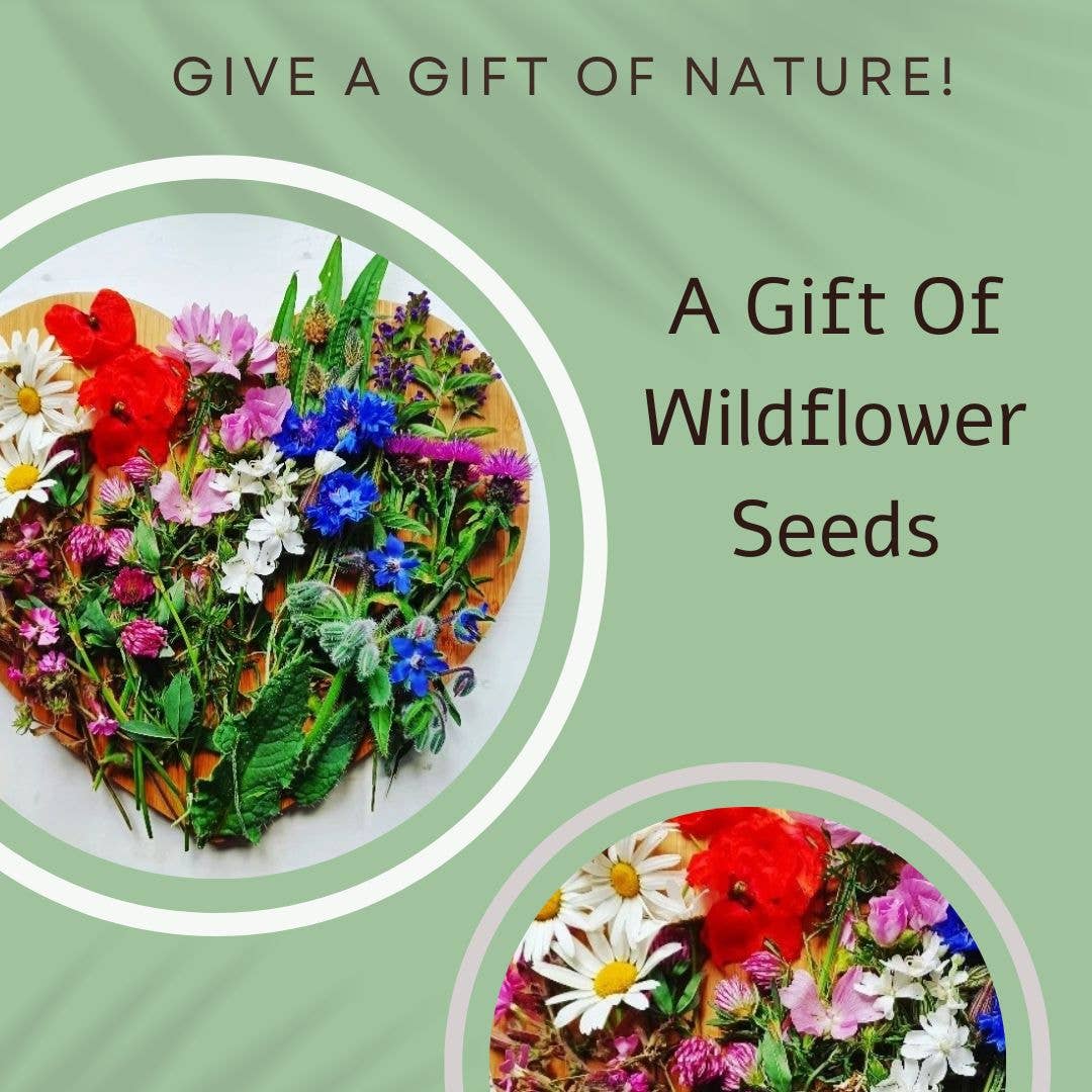 Seeds with Love - Wholesale Birthday Card - Vintage Blooming Birthday Card - A gift of wildflower seeds1