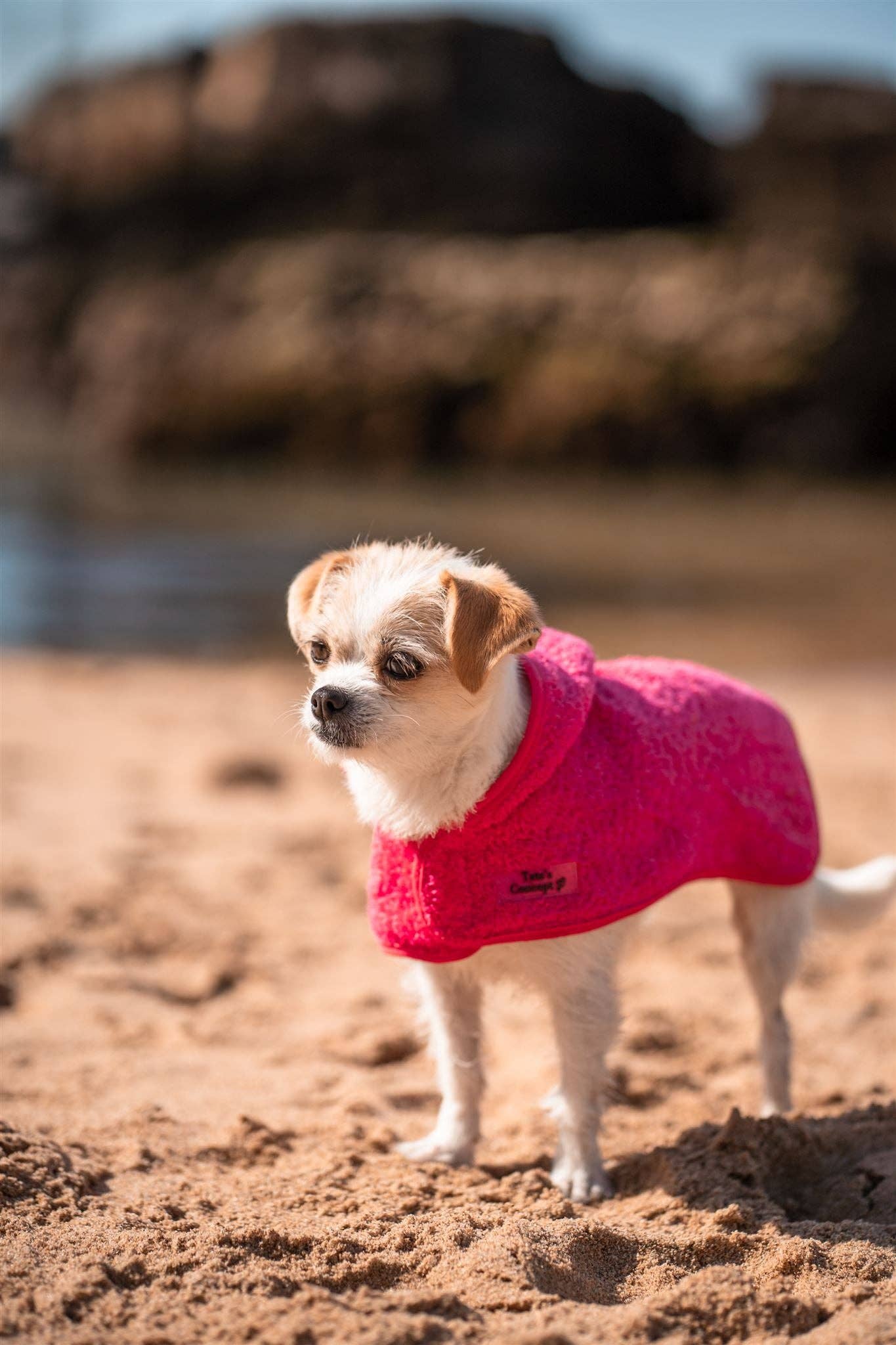 Tata’s Concept – Poncho para cão - Cão por atacado – Ponchos 1ª Edição (2022)4